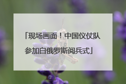 现场画面！中国仪仗队参加白俄罗斯阅兵式