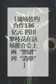 现场签约合作136亿元 四川攀枝花在这场推介会上画“图谱”列“清单”