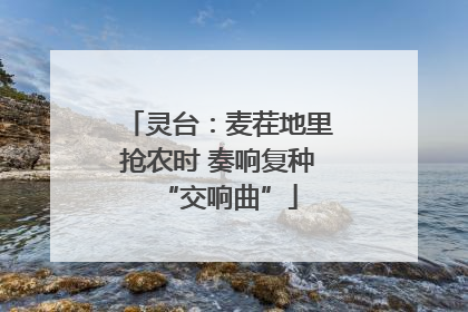 灵台：麦茬地里抢农时 奏响复种“交响曲”