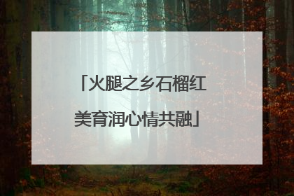 火腿之乡石榴红 美育润心情共融