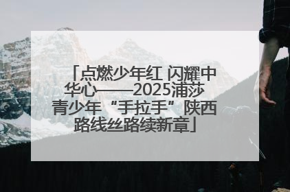 点燃少年红 闪耀中华心——2025浦莎青少年“手拉手”陕西路线丝路续新章