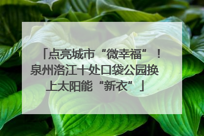 点亮城市“微幸福”！泉州洛江十处口袋公园换上太阳能“新衣”