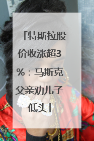 特斯拉股价收涨超3%：马斯克父亲劝儿子低头