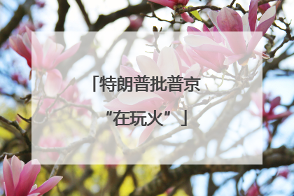 特朗普批普京“在玩火”