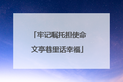 牢记嘱托担使命 文亭巷里话幸福