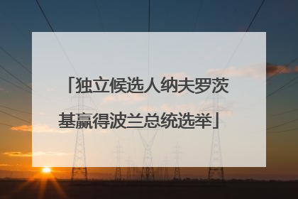 独立候选人纳夫罗茨基赢得波兰总统选举