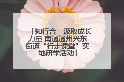 知行合一汲取成长力量 南通通州兴东街道“行走课堂”实地研学活动