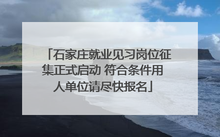 石家庄就业见习岗位征集正式启动 符合条件用人单位请尽快报名