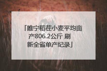 睢宁稻茬小麦平均亩产806.2公斤 刷新全省单产纪录