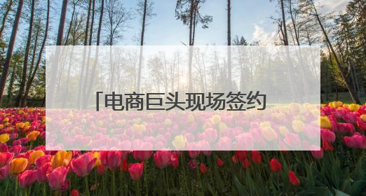 电商巨头现场签约 郑州航空港加速驶向“丝路电商”新蓝海