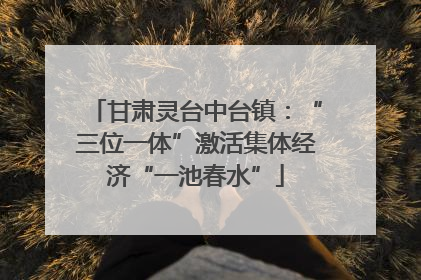 甘肃灵台中台镇：“三位一体”激活集体经济“一池春水”