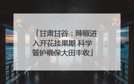甘肃甘谷：辣椒进入开花挂果期 科学管护确保大田丰收