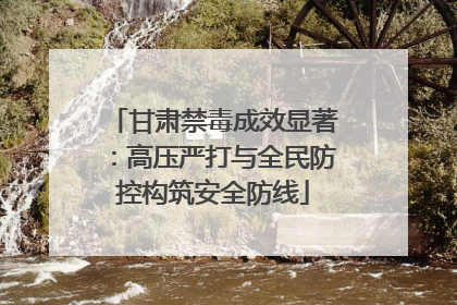 甘肃禁毒成效显著：高压严打与全民防控构筑安全防线