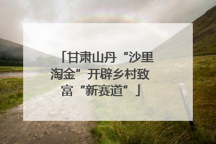 甘肃山丹“沙里淘金”开辟乡村致富“新赛道”