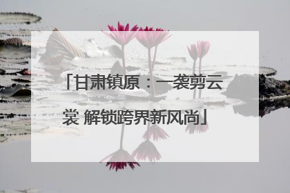甘肃镇原：一袭剪云裳 解锁跨界新风尚