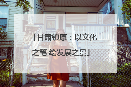 甘肃镇原：以文化之笔 绘发展之景