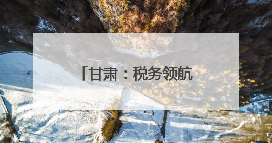 甘肃：税务领航 助企合规前行