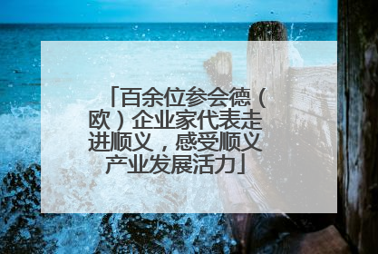 百余位参会德（欧）企业家代表走进顺义，感受顺义产业发展活力