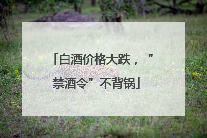 白酒价格大跌，“禁酒令”不背锅
