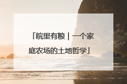 皖里有粮｜一个家庭农场的土地哲学