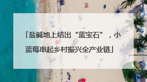 盐碱地上结出“蓝宝石”，小蓝莓串起乡村振兴全产业链