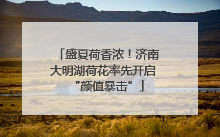 盛夏荷香浓！济南大明湖荷花率先开启“颜值暴击”