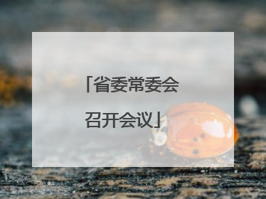 省委常委会召开会议