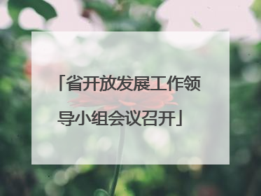 省开放发展工作领导小组会议召开