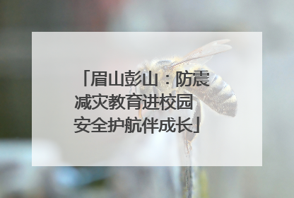 眉山彭山：防震减灾教育进校园 安全护航伴成长