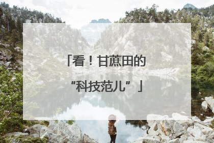 看！甘蔗田的“科技范儿”