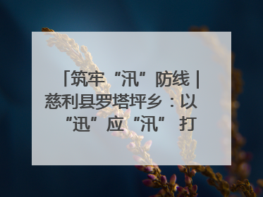 筑牢“汛”防线｜慈利县罗塔坪乡：以“迅”应“汛” 打赢暴雨防御战