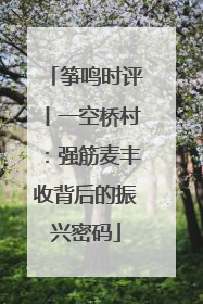 筝鸣时评丨一空桥村：强筋麦丰收背后的振兴密码
