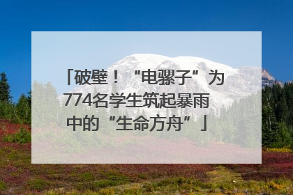 破壁！“电骡子”为774名学生筑起暴雨中的“生命方舟”
