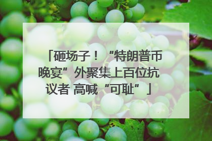 砸场子！“特朗普币晚宴”外聚集上百位抗议者 高喊“可耻”
