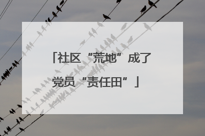 社区“荒地”成了党员“责任田”