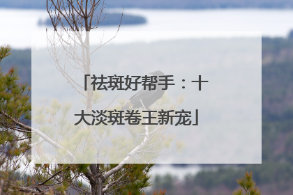祛斑好帮手：十大淡斑卷王新宠