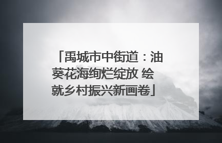 禹城市中街道：油葵花海绚烂绽放 绘就乡村振兴新画卷