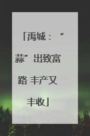禹城：“蒜”出致富路 丰产又丰收