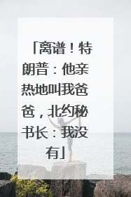 离谱！特朗普：他亲热地叫我爸爸，北约秘书长：我没有