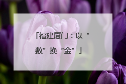 福建厦门：以“数”换“金”