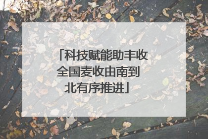 科技赋能助丰收 全国麦收由南到北有序推进