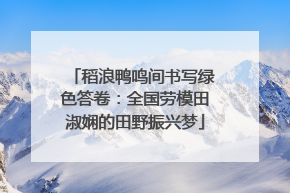 稻浪鸭鸣间书写绿色答卷：全国劳模田淑娴的田野振兴梦