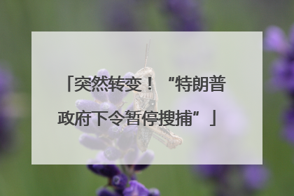 突然转变！“特朗普政府下令暂停搜捕”