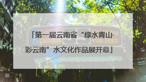 第一届云南省“绿水青山·彩云南”水文化作品展开幕