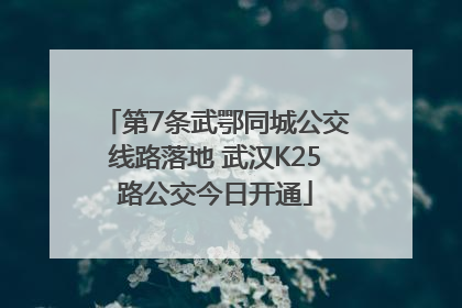 第7条武鄂同城公交线路落地 武汉K25路公交今日开通