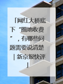 网红大桥底下“圈地收费”，有哪些问题需要说清楚｜新京报快评