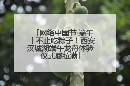 网络中国节·端午丨不止吃粽子！西安汉城湖端午龙舟体验仪式感拉满