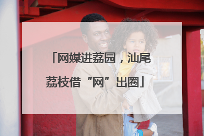 网媒进荔园，汕尾荔枝借“网”出圈