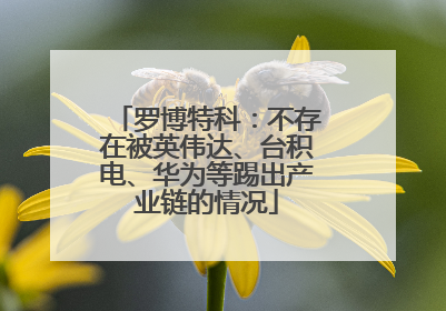 罗博特科:不存在被英伟达、台积电、华为等踢出产业链的情况