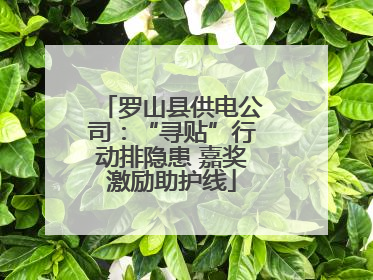 罗山县供电公司：“寻贴”行动排隐患 嘉奖激励助护线